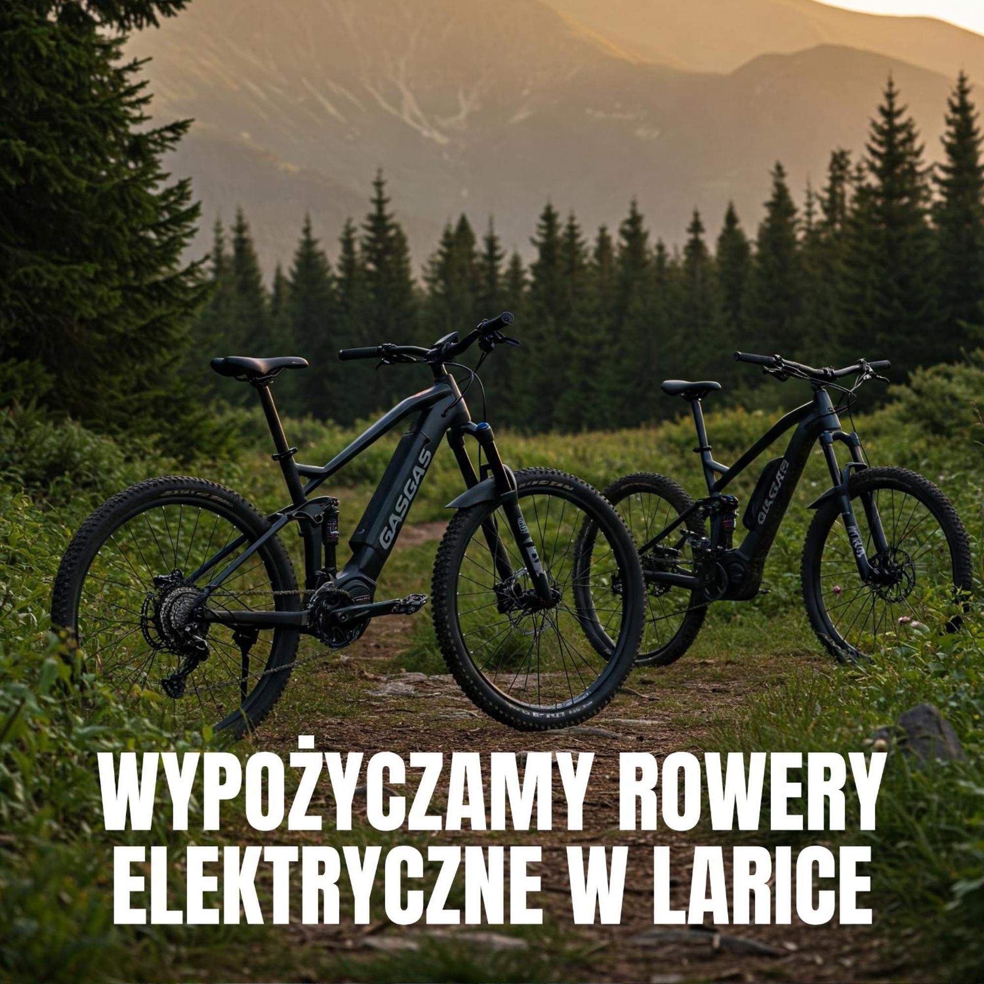 Apartamenty Larice - Podgrzewany Basen, Balia I Sauna Świeradów-Zdrój Esterno foto